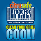 CitruSafe Replaceable Pads For BBQ Grill Scrubber - BrysonShop.com